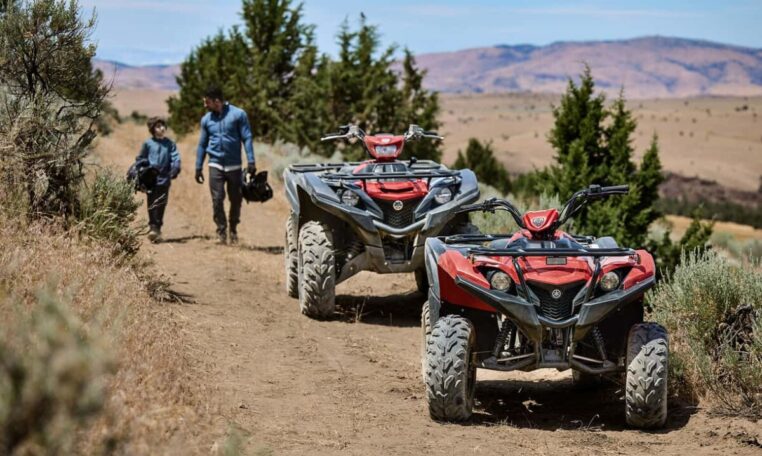 2025 Grizzly 110 Quad Expert 11