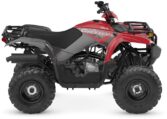 2025 Grizzly 110 Quad Expert