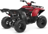 2025 Grizzly 110 Quad Expert 2