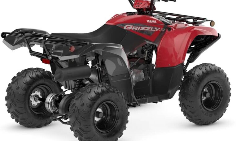 2025 Grizzly 110 Quad Expert 2