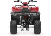 2025 Grizzly 110 Quad Expert 3