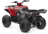 2025 Grizzly 110 Quad Expert 4