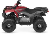 2025 Grizzly 110 Quad Expert 5