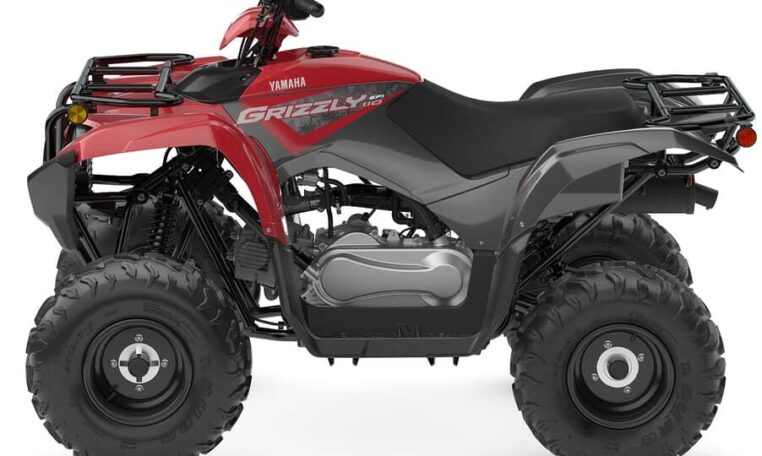 2025 Grizzly 110 Quad Expert 5