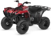 2025 Grizzly 110 Quad Expert 6