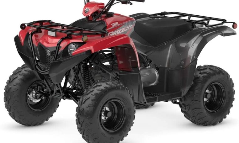 2025 Grizzly 110 Quad Expert 6