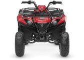 2025 Grizzly 110 Quad Expert 7