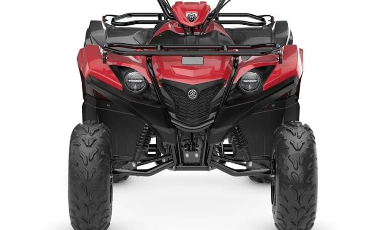 2025 Grizzly 110 Quad Expert 7