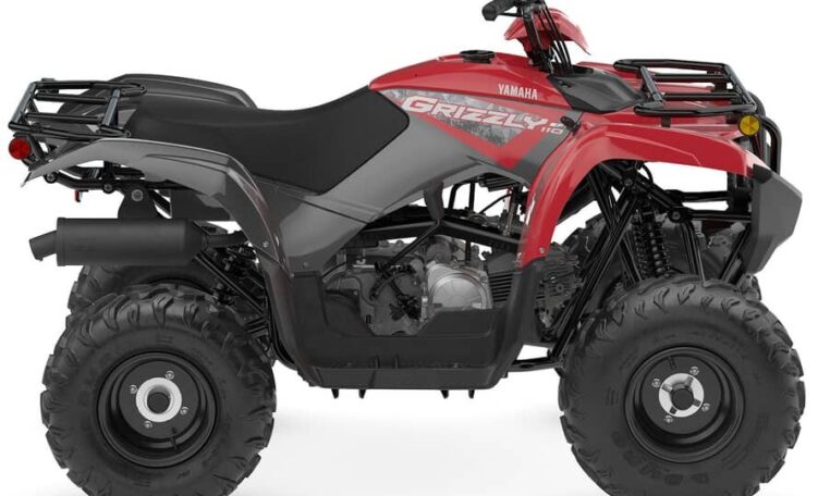 2025 Grizzly 110 Quad Expert