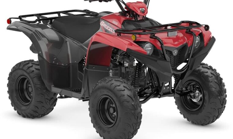 2025 Grizzly 110 Quad Expert 8