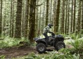 2025 Yamaha Grizzly Eps Se Black Grey Quad Expert 11