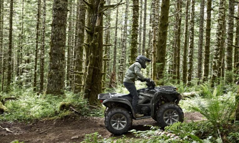 2025 Yamaha Grizzly Eps Se Black Grey Quad Expert 11