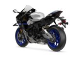 2025 Yamaha R1 Quad Expert