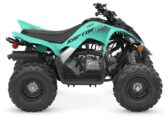 2025 Yamaha Raptor 110 Teal Quad Expert 1