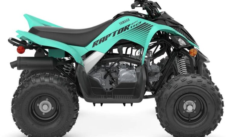 2025 Yamaha Raptor 110 Teal Quad Expert 1