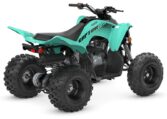 2025 Yamaha Raptor 110 Teal Quad Expert 2