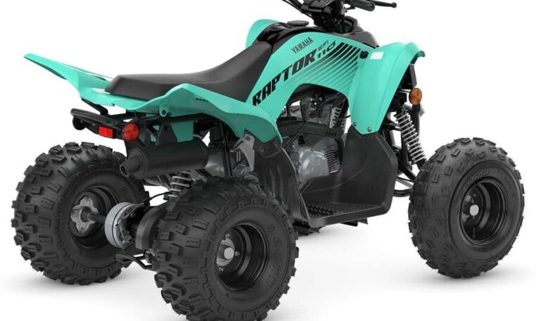 2025 Yamaha Raptor 110 Teal Quad Expert 2