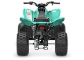 2025 Yamaha Raptor 110 Teal Quad Expert 3