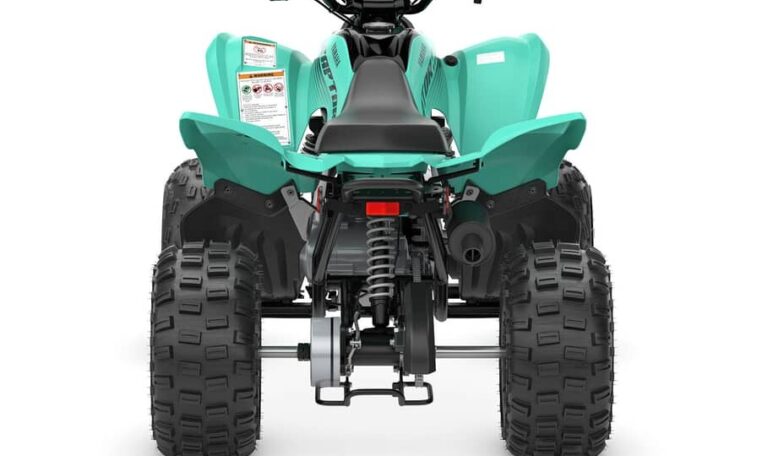 2025 Yamaha Raptor 110 Teal Quad Expert 3