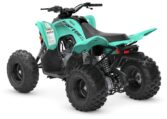 2025 Yamaha Raptor 110 Teal Quad Expert 4