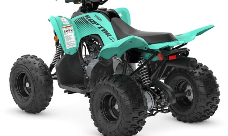 2025 Yamaha Raptor 110 Teal Quad Expert 4