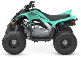 2025 Yamaha Raptor 110 Teal Quad Expert 5