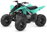 2025 Yamaha Raptor 110 Teal Quad Expert 6