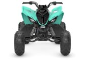 2025 Yamaha Raptor 110 Teal Quad Expert 7